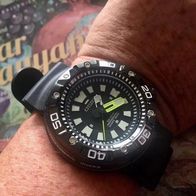 Citizen Eco Drive Promaster Diver Men's Watch BN0175-19E