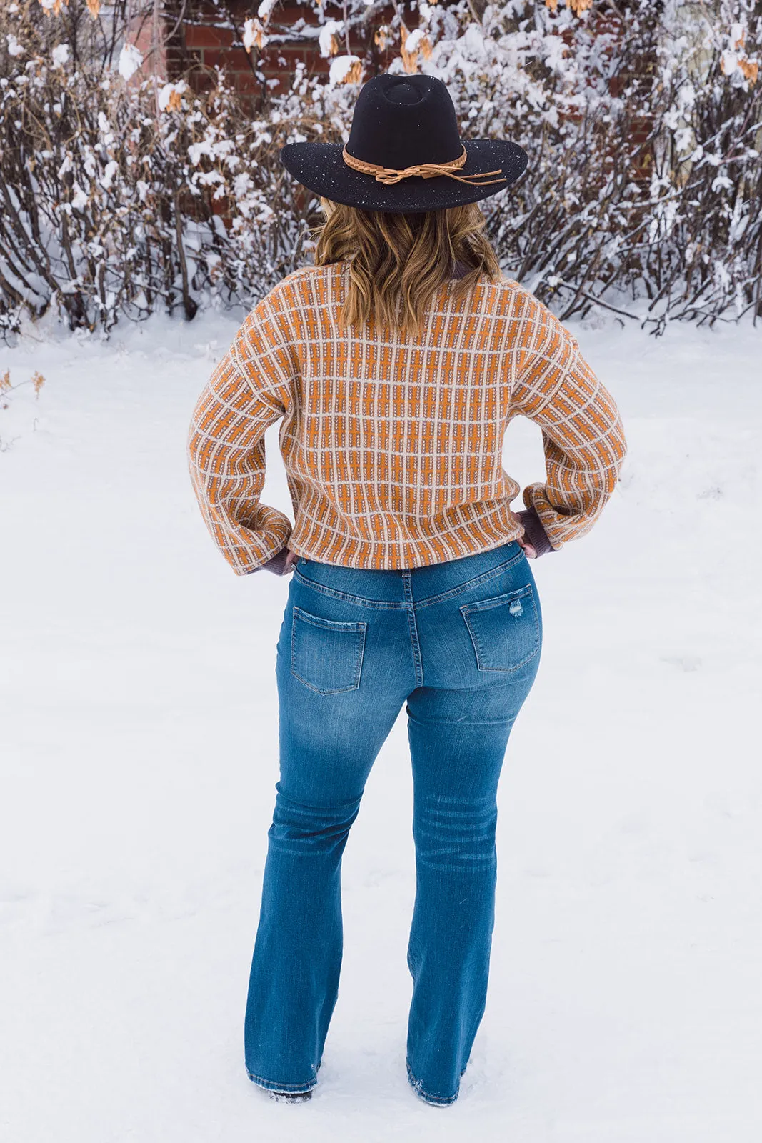 Dannie High Rise Flare Jeans