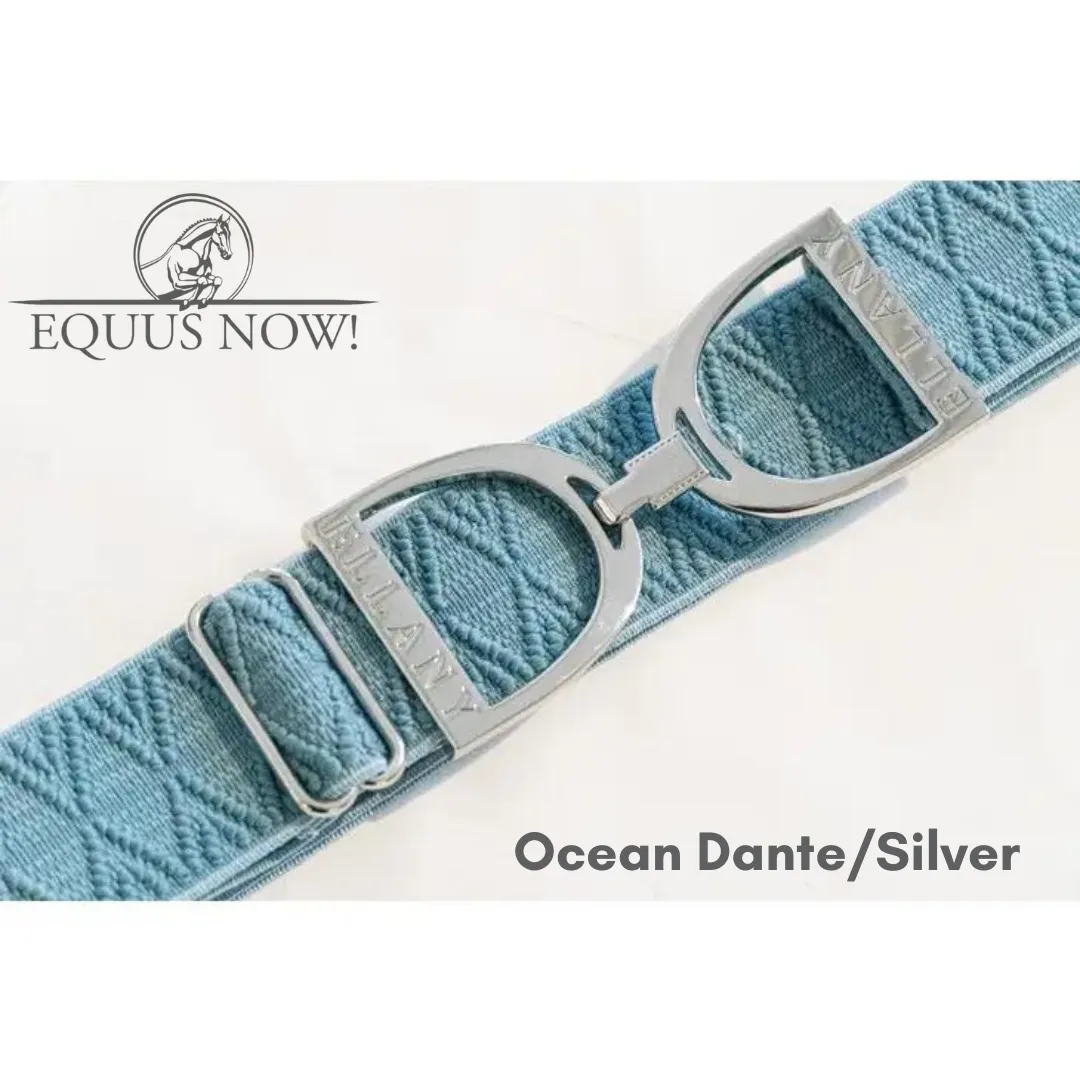 Ellany Stirrup Irons Elastic Belt