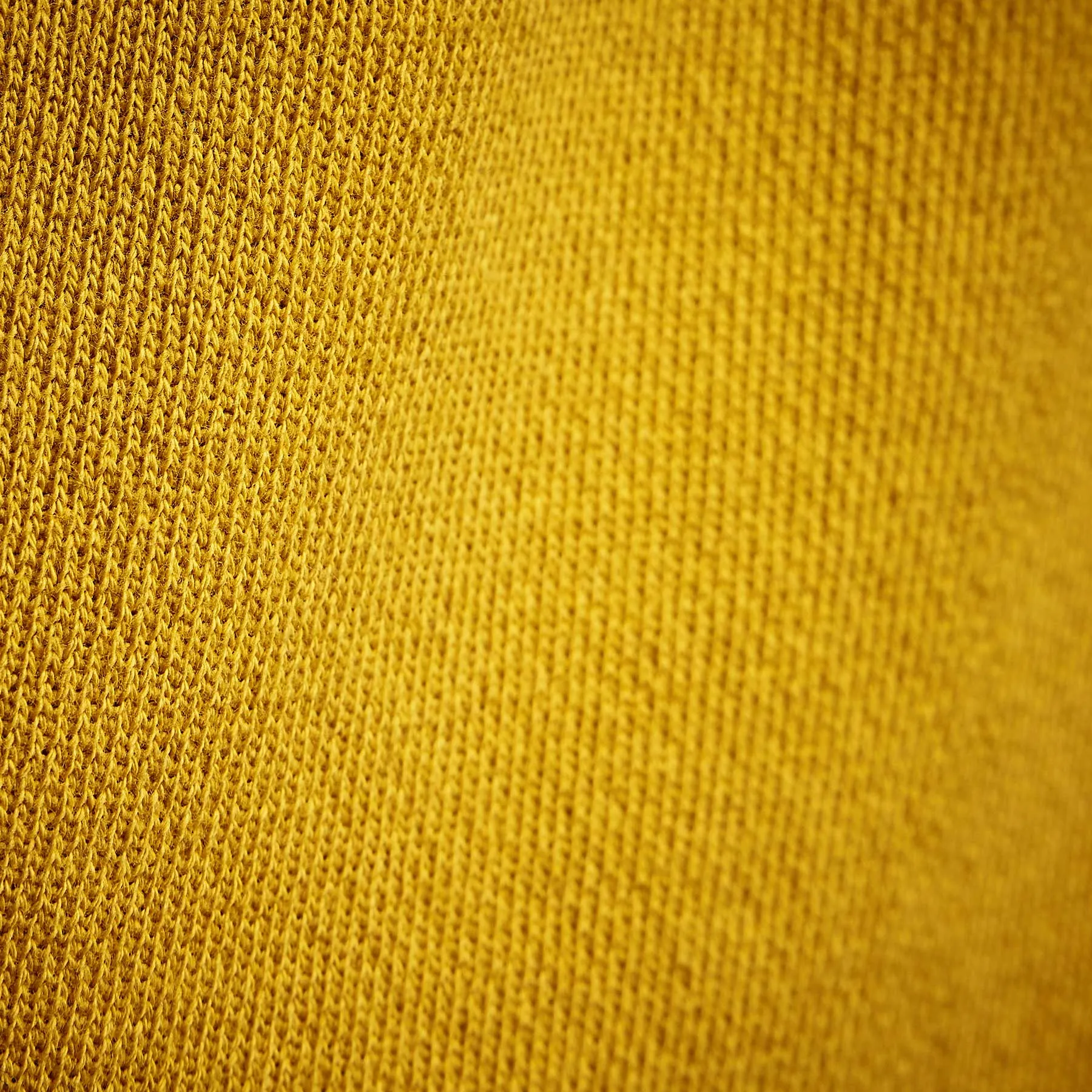 French Terry Sweatpant - Crocus Yellow