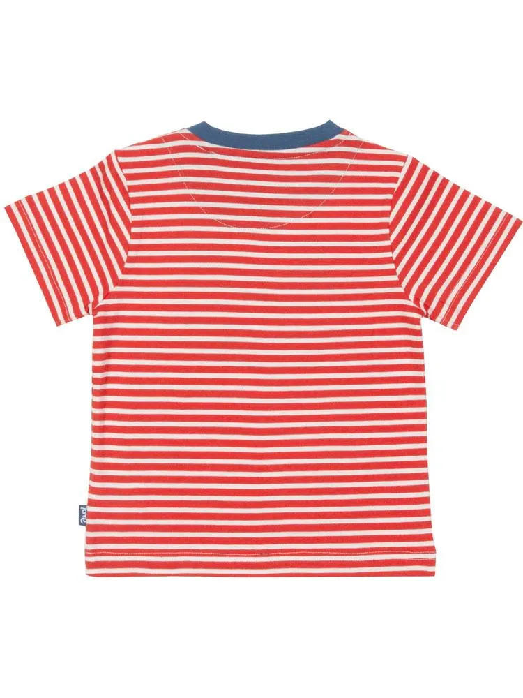 KITE Organic - Froggy T-Shirt