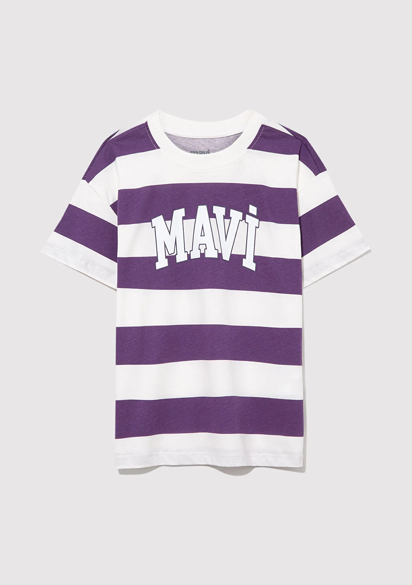Mavi Logo Printed Purple Striped T-Shirt