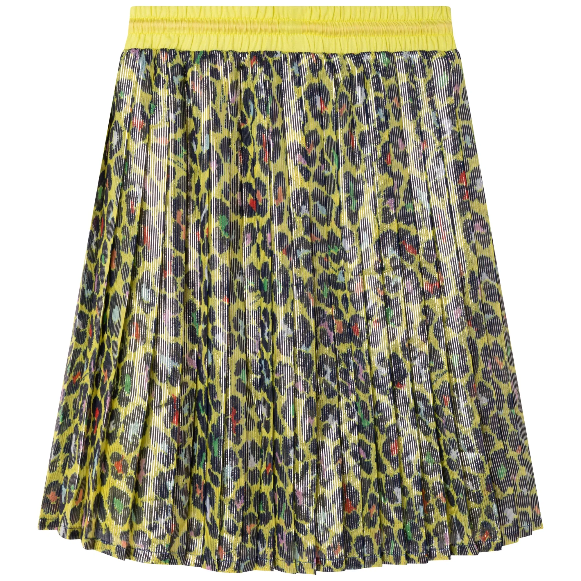 Pleated Voile Skirt - Multi