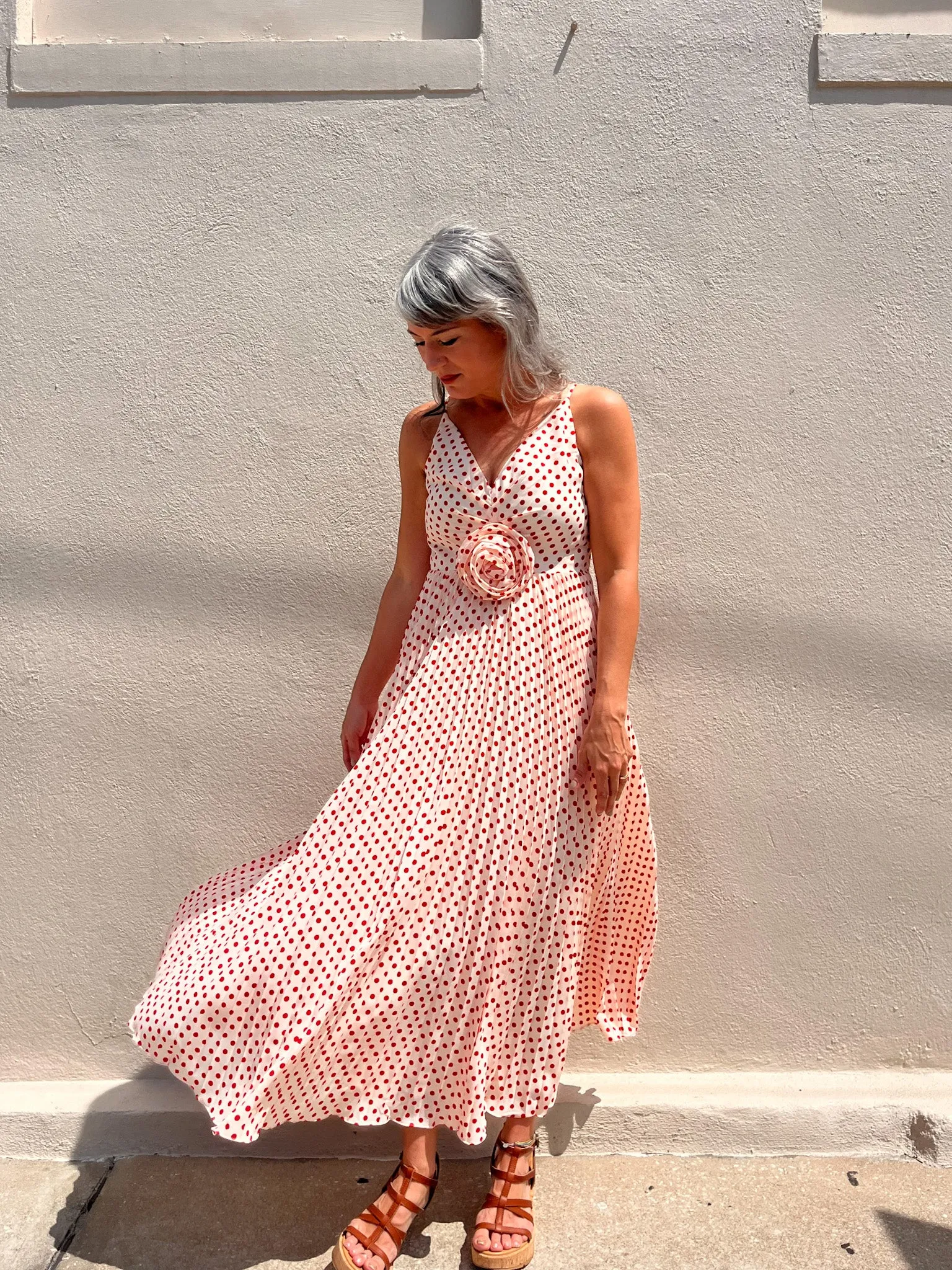 Shanina Rose Pleated Dress