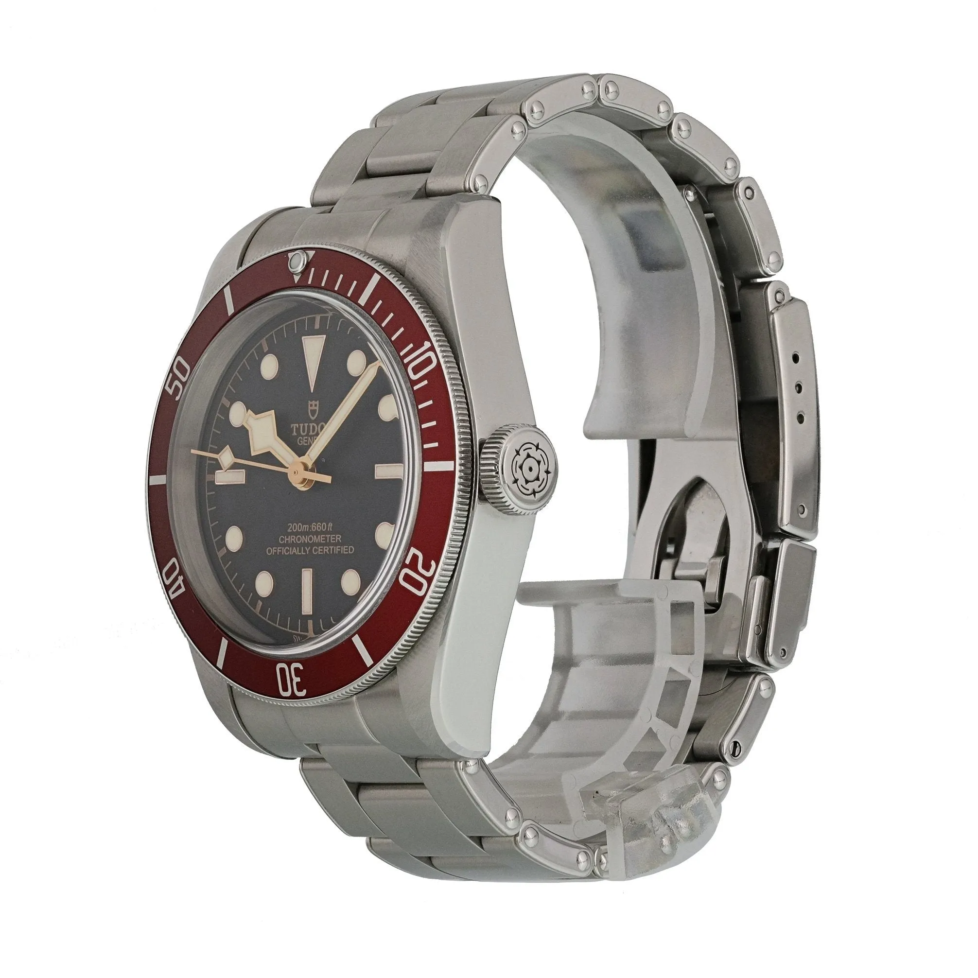 Tudor Heritage Black Bay 79220R Mens Watch