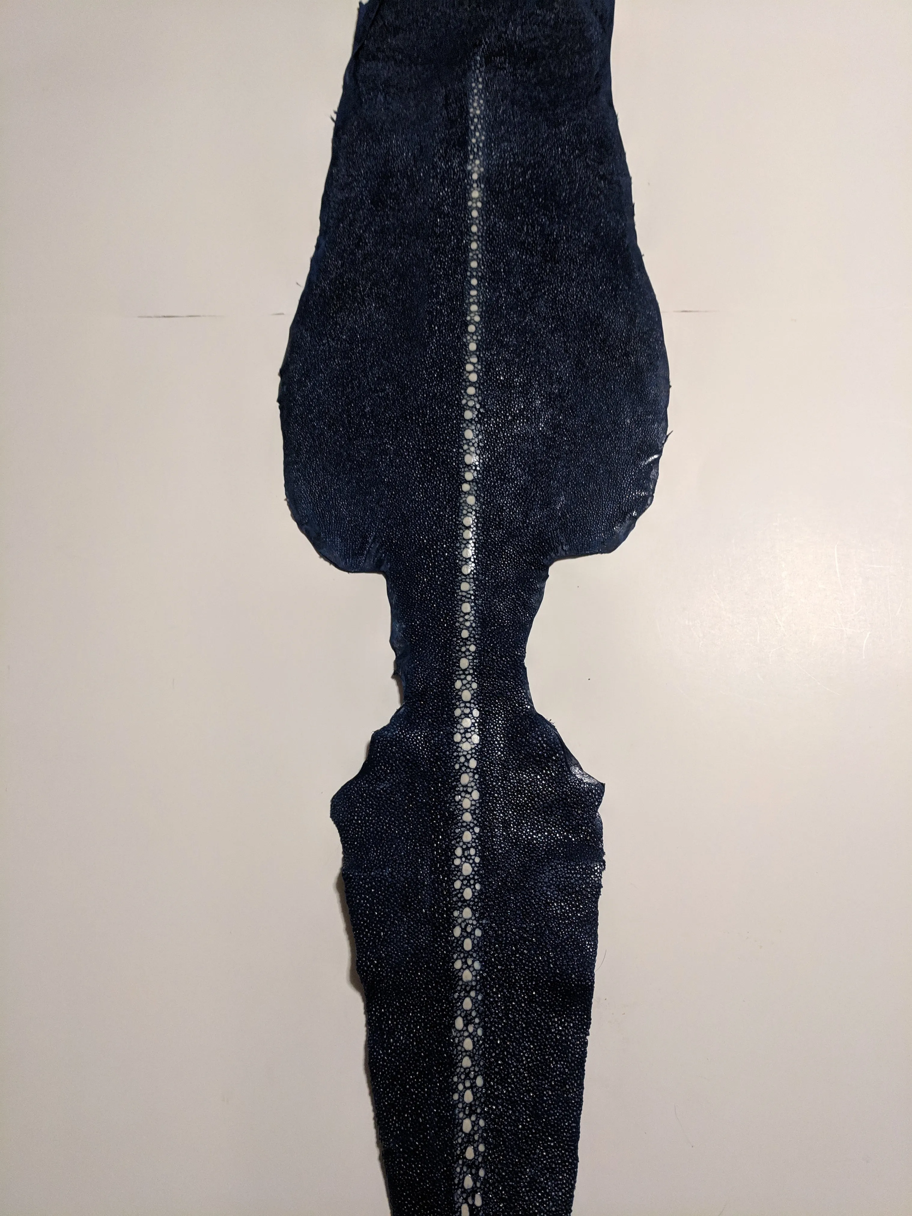 Unpolished Stingray leather