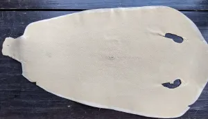Unpolished Stingray leather