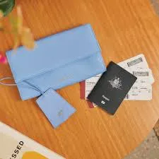 Vanity Travel Wallet